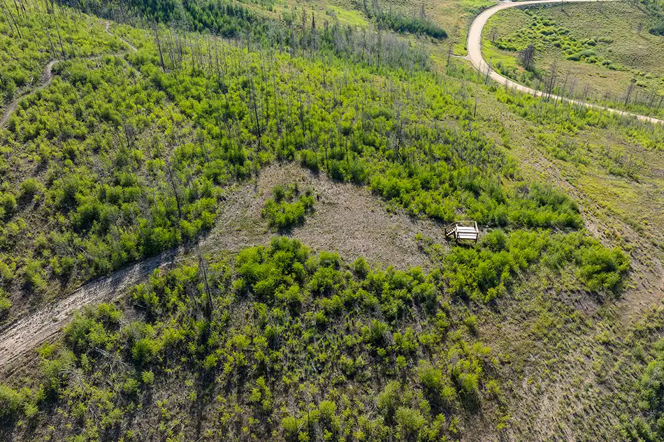 Aspen Springs Lot #7 view