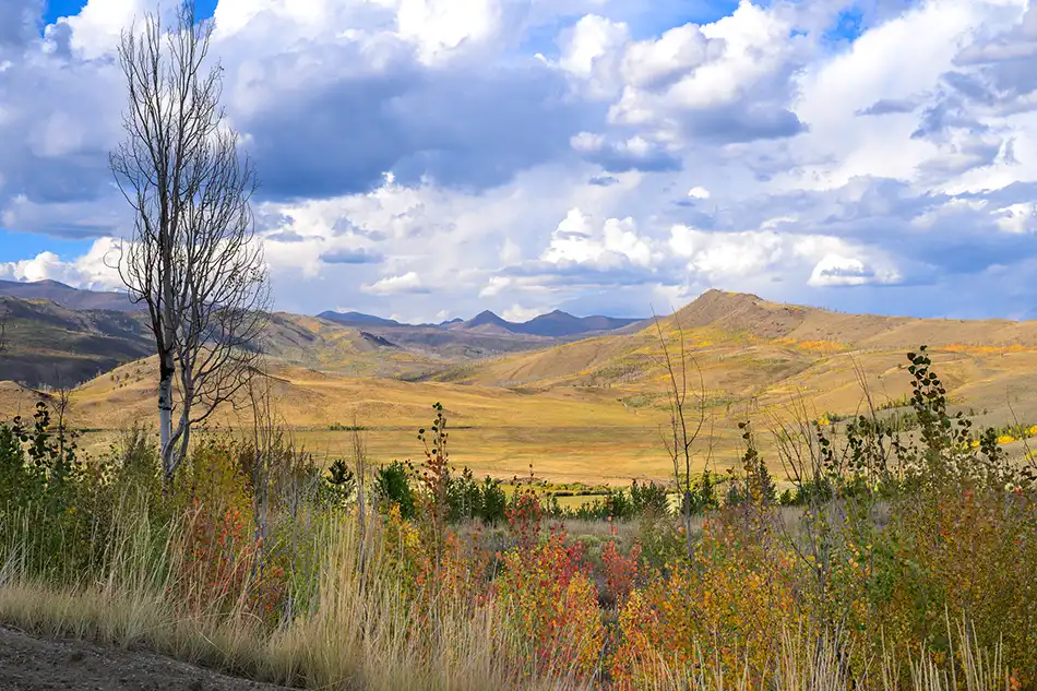Chimney Rock Cabins Lot 9 view