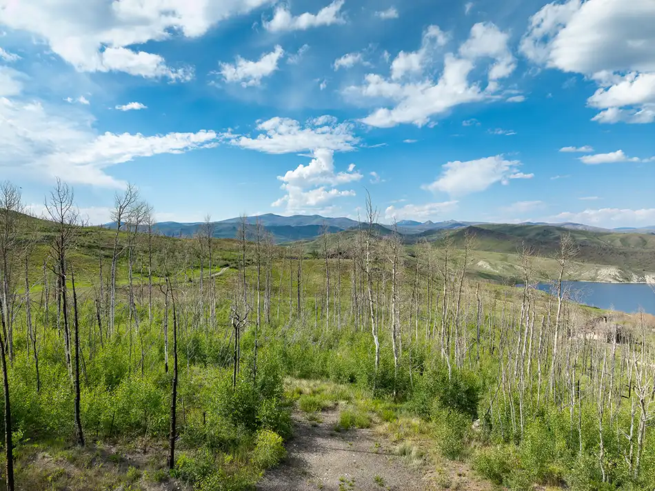Homesteads Lot 10 view